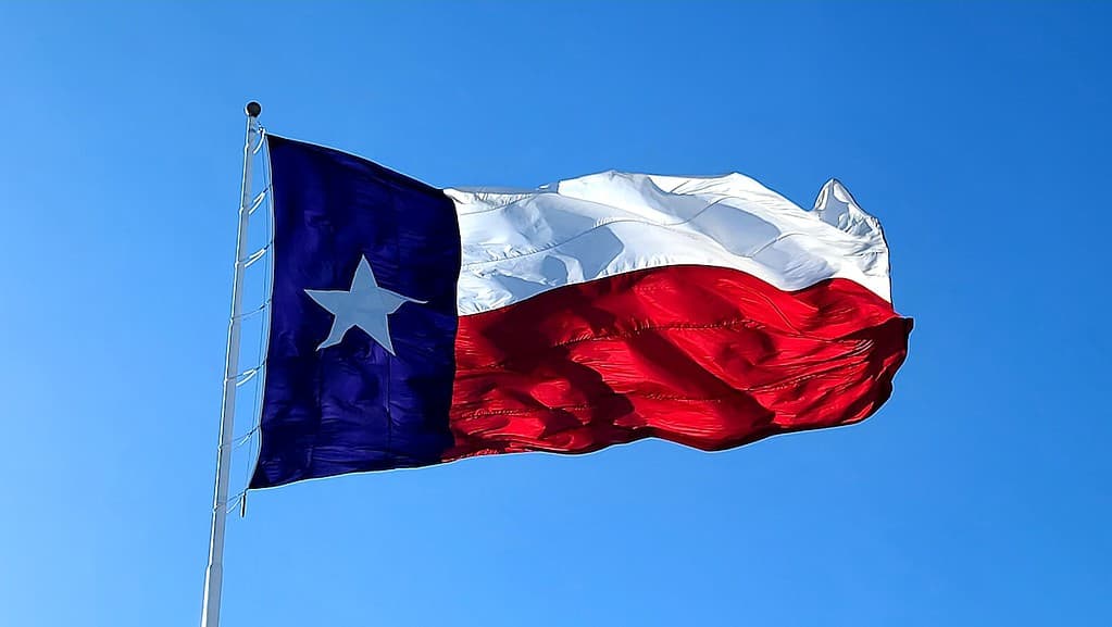 blue white and red flag of texas