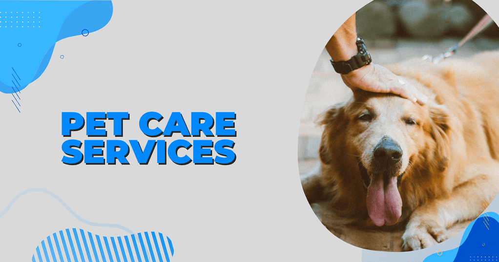 a person petting a dog, with title: pet care services